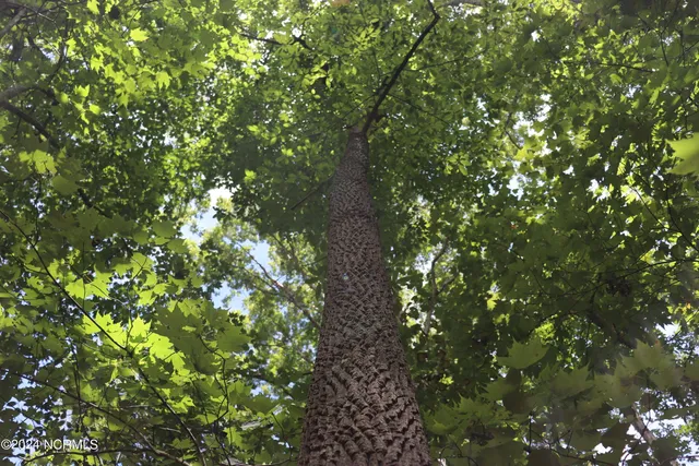 $497,000 | Tbd Coxe Road, Tryon, NC 28782