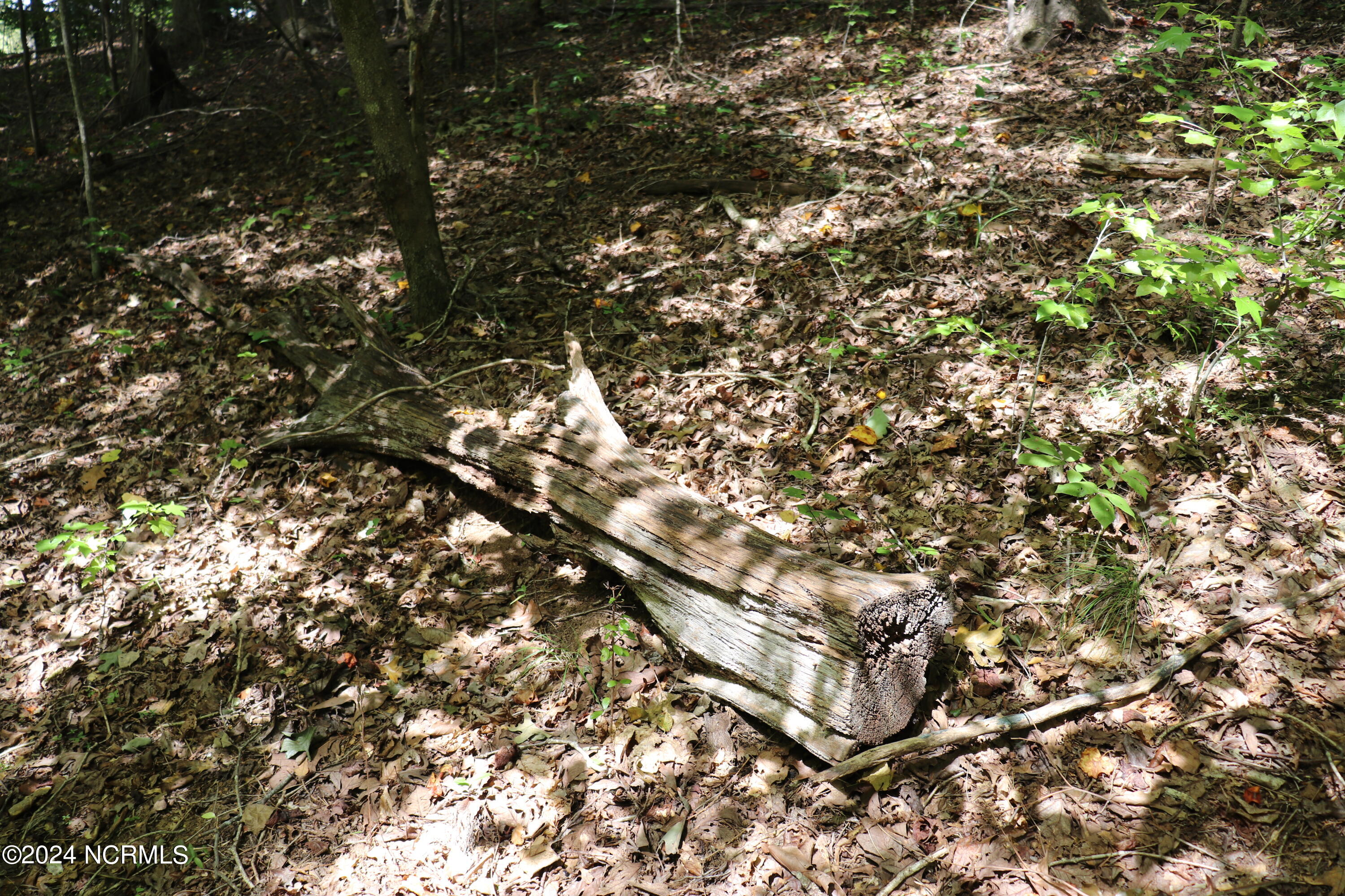 Tbd Coxe Road Tryon, NC 28782 - Photo 55 of 67 56