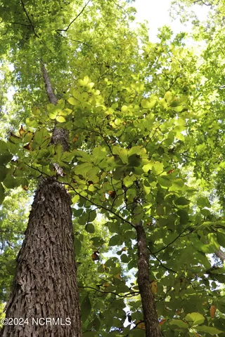 $497,000 | Tbd Coxe Road, Tryon, NC 28782