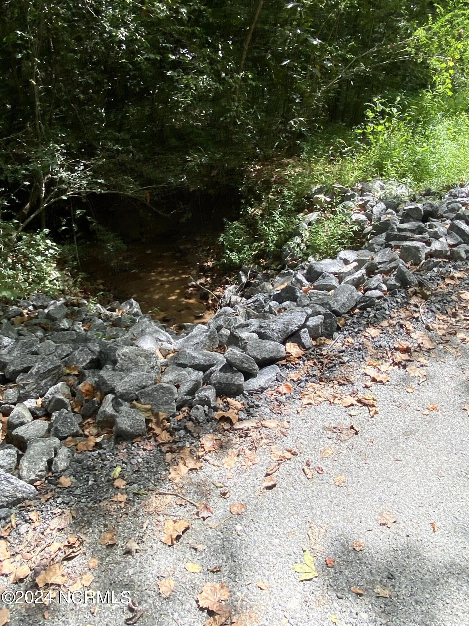 Tbd Coxe Road Tryon, NC 28782 - Photo 58 of 67 59