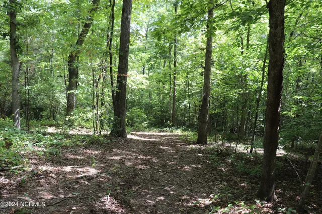 $497,000 | Tbd Coxe Road, Tryon, NC 28782