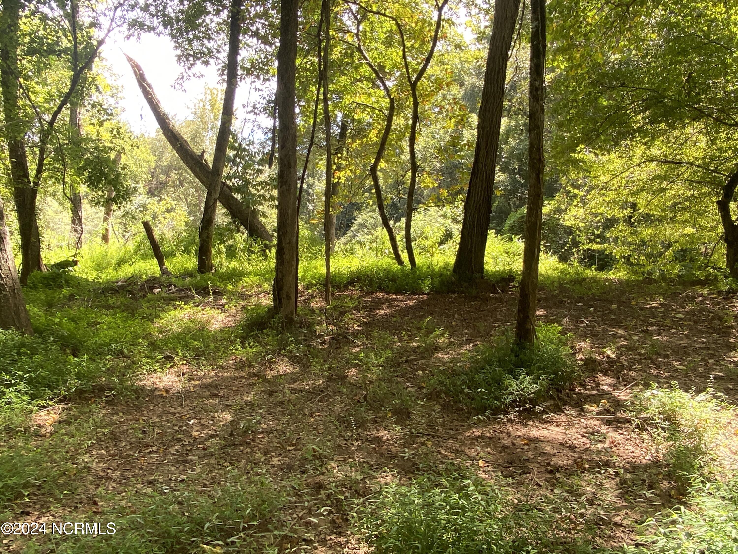 Tbd Coxe Road Tryon, NC 28782 - Photo 61 of 67 62