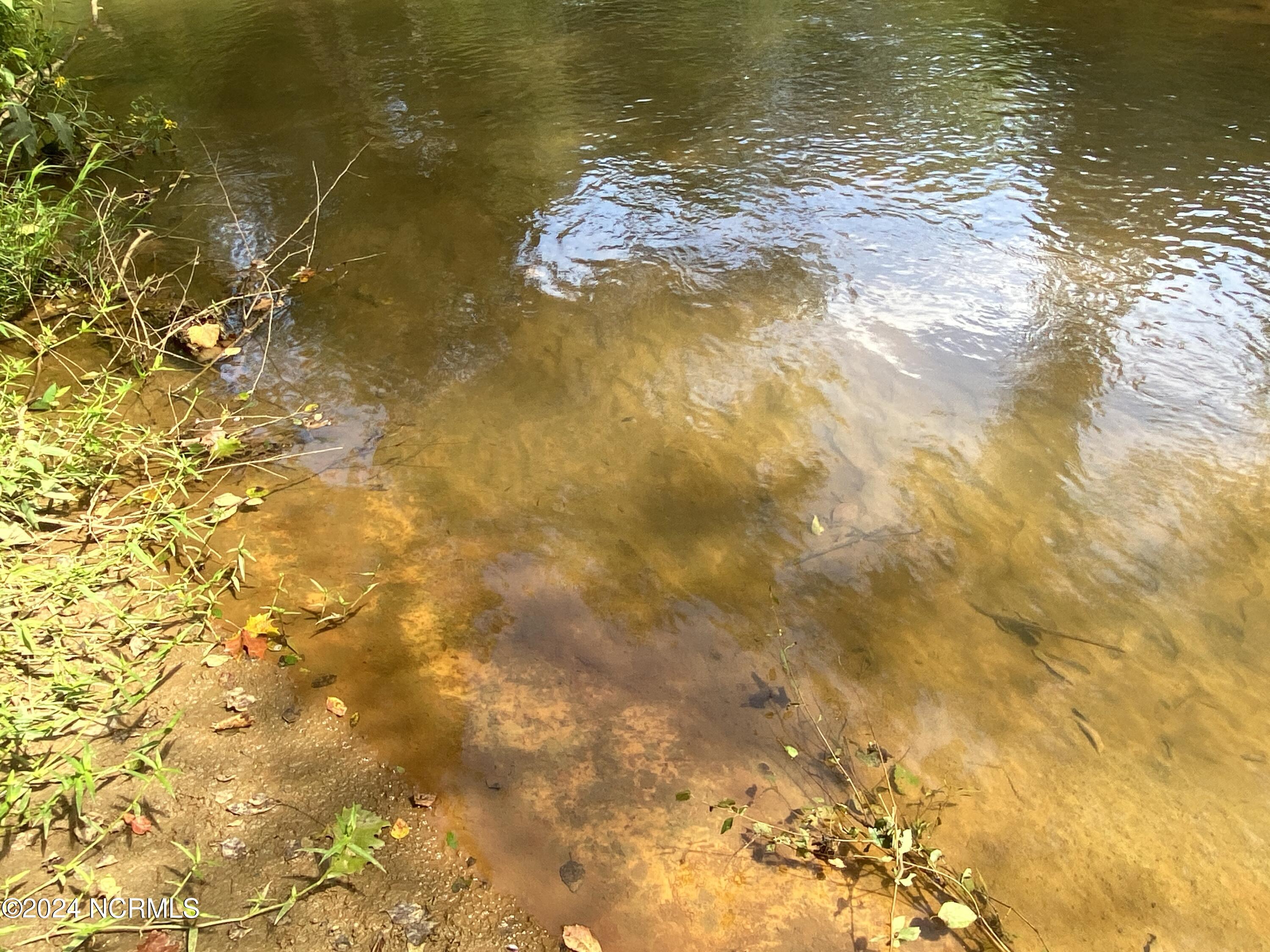 Tbd Coxe Road Tryon, NC 28782 - Photo 63 of 67 64