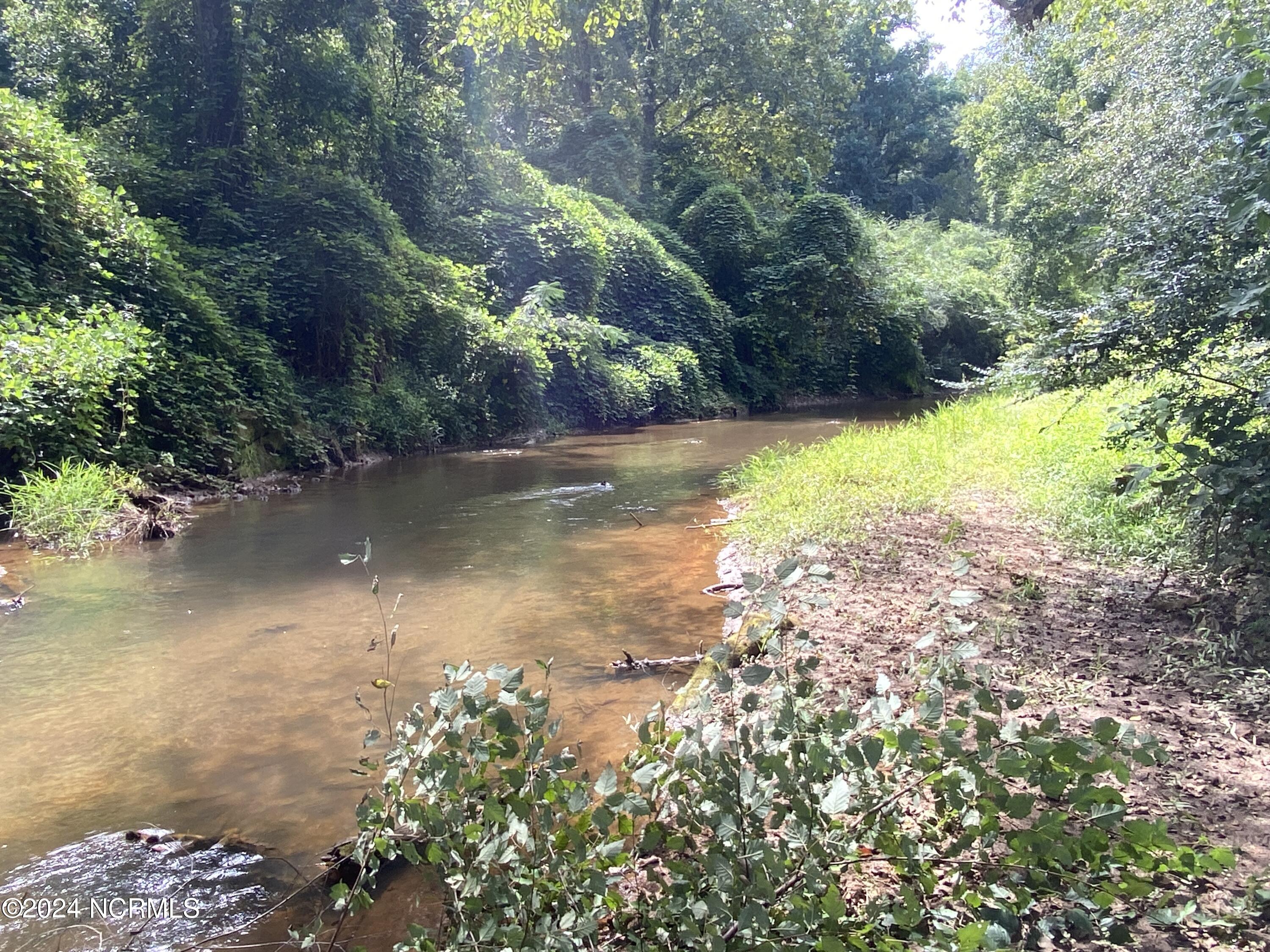 Tbd Coxe Road Tryon, NC 28782 - Photo 64 of 67 65