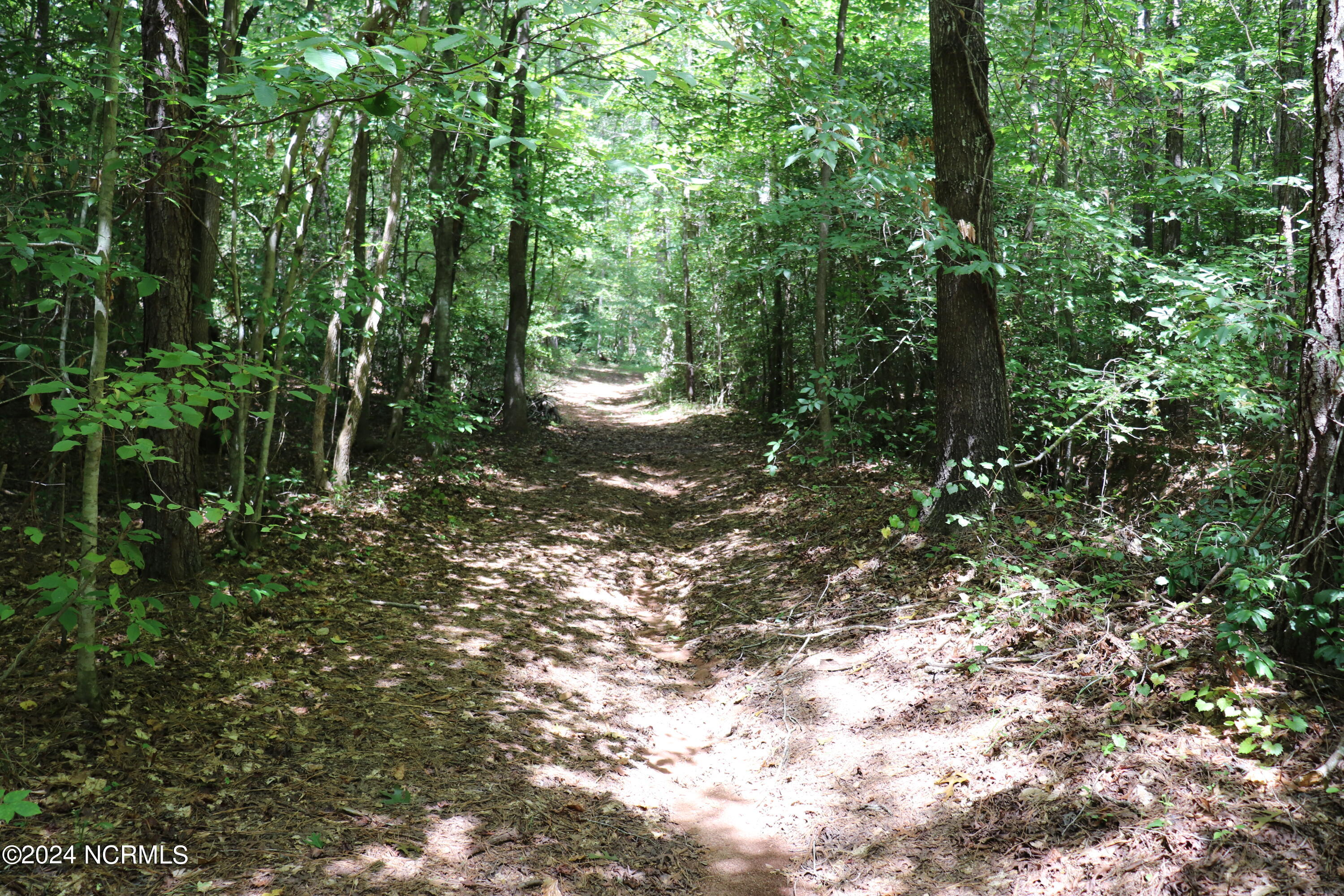 Tbd Coxe Road Tryon, NC 28782 - Photo 7 of 67 7