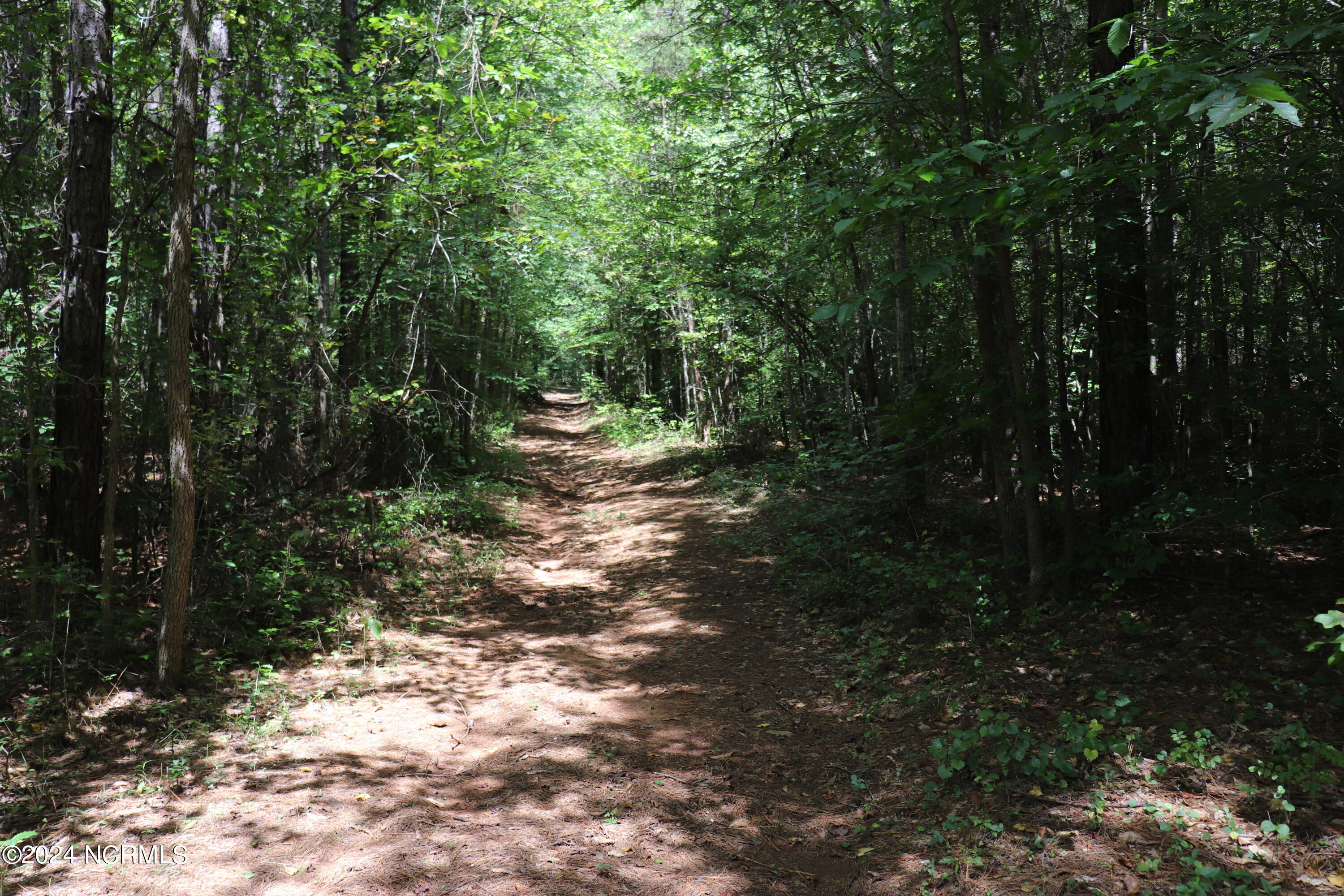 Tbd Coxe Road Tryon, NC 28782 - Photo 8 of 67 8