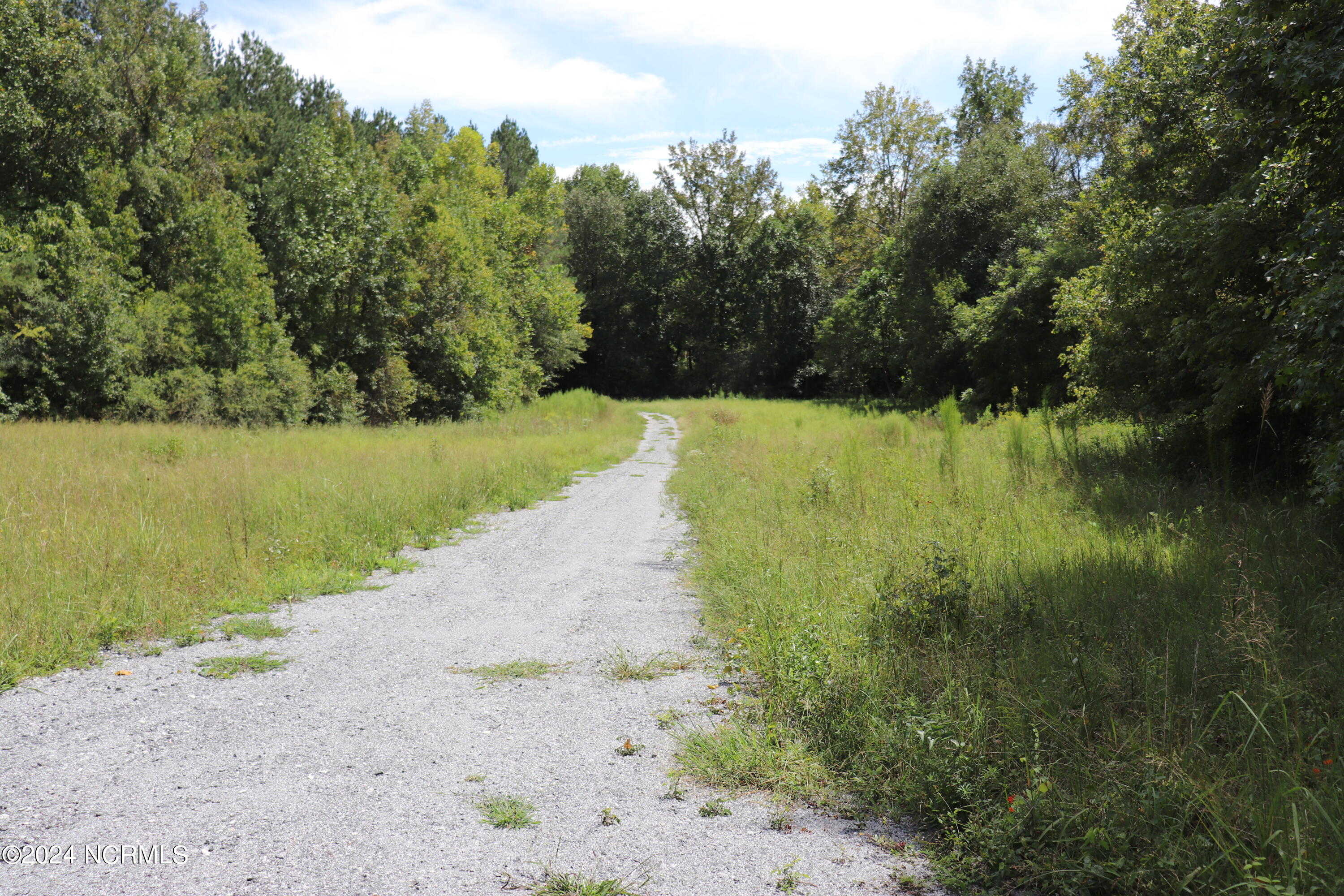 Tbd Coxe Road Tryon, NC 28782 - Photo 9 of 67 9