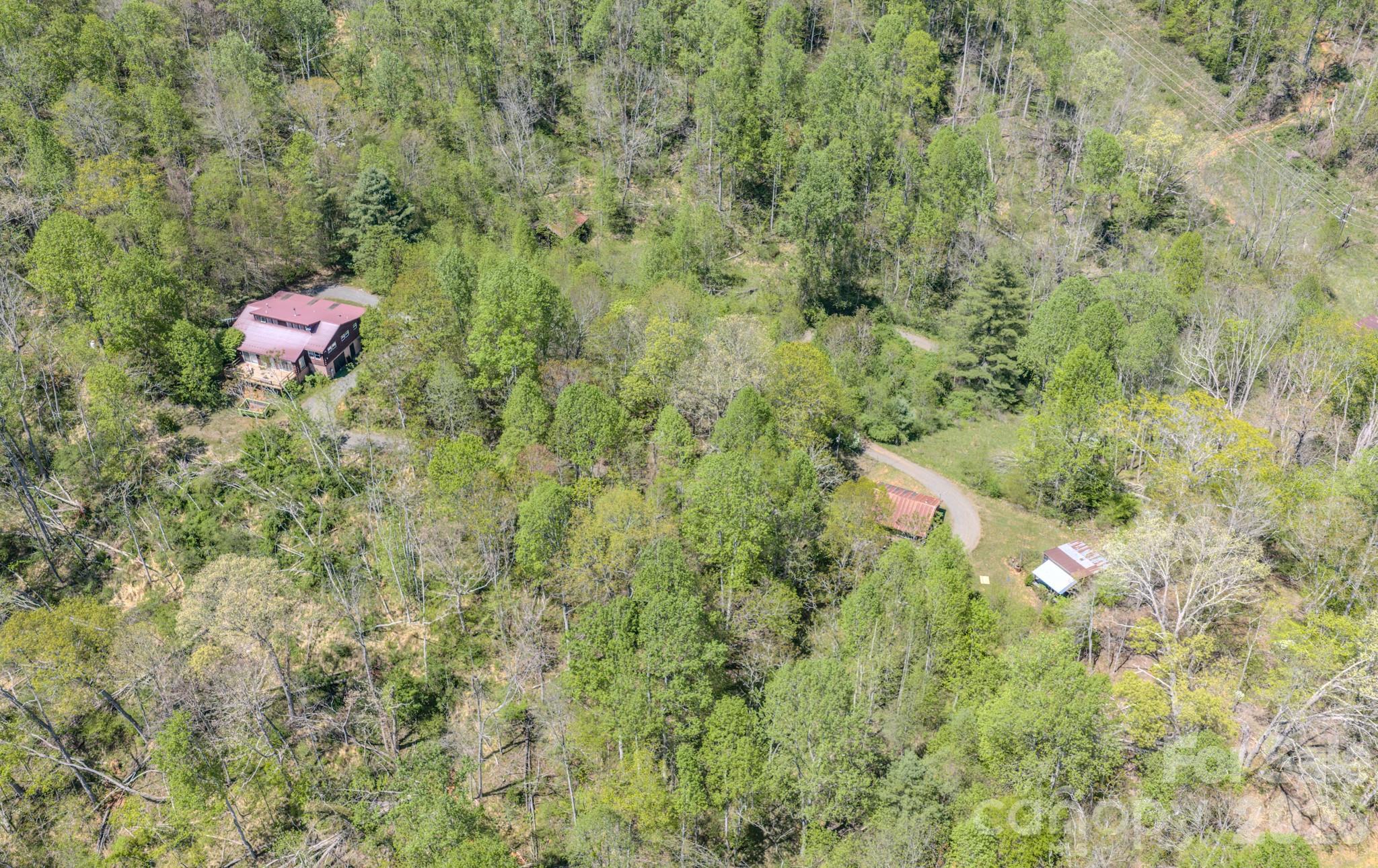 143 Gouge Cemetery Road Bakersville, NC 28705 - Photo 27 of 47 a view of a yard with a tree