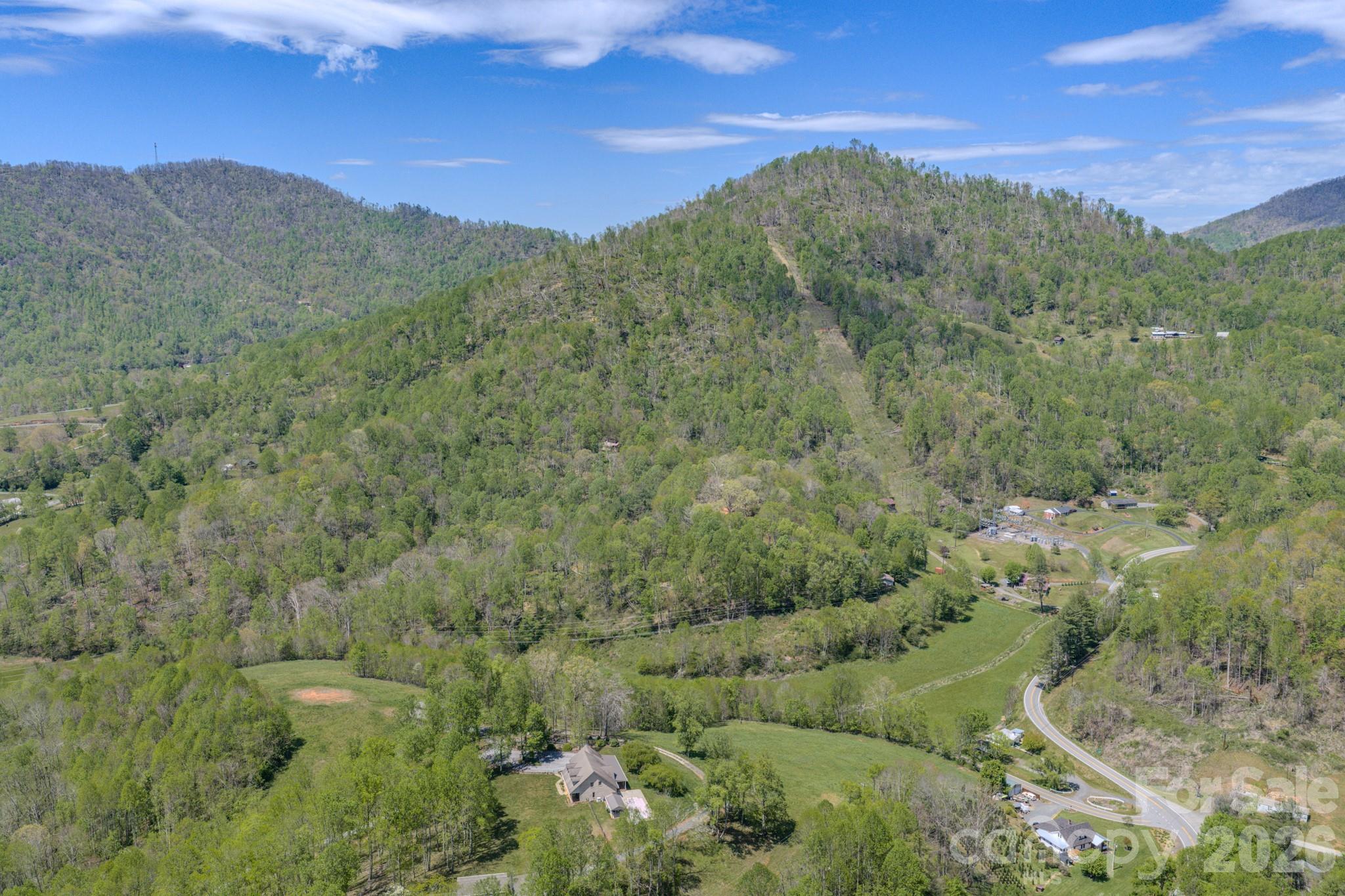 143 Gouge Cemetery Road Bakersville, NC 28705 - Photo 29 of 47 a view of a forest with mountains in the background