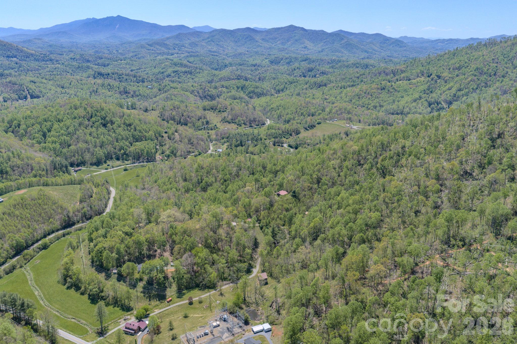143 Gouge Cemetery Road Bakersville, NC 28705 - Photo 35 of 47 a view of a forest with a mountain