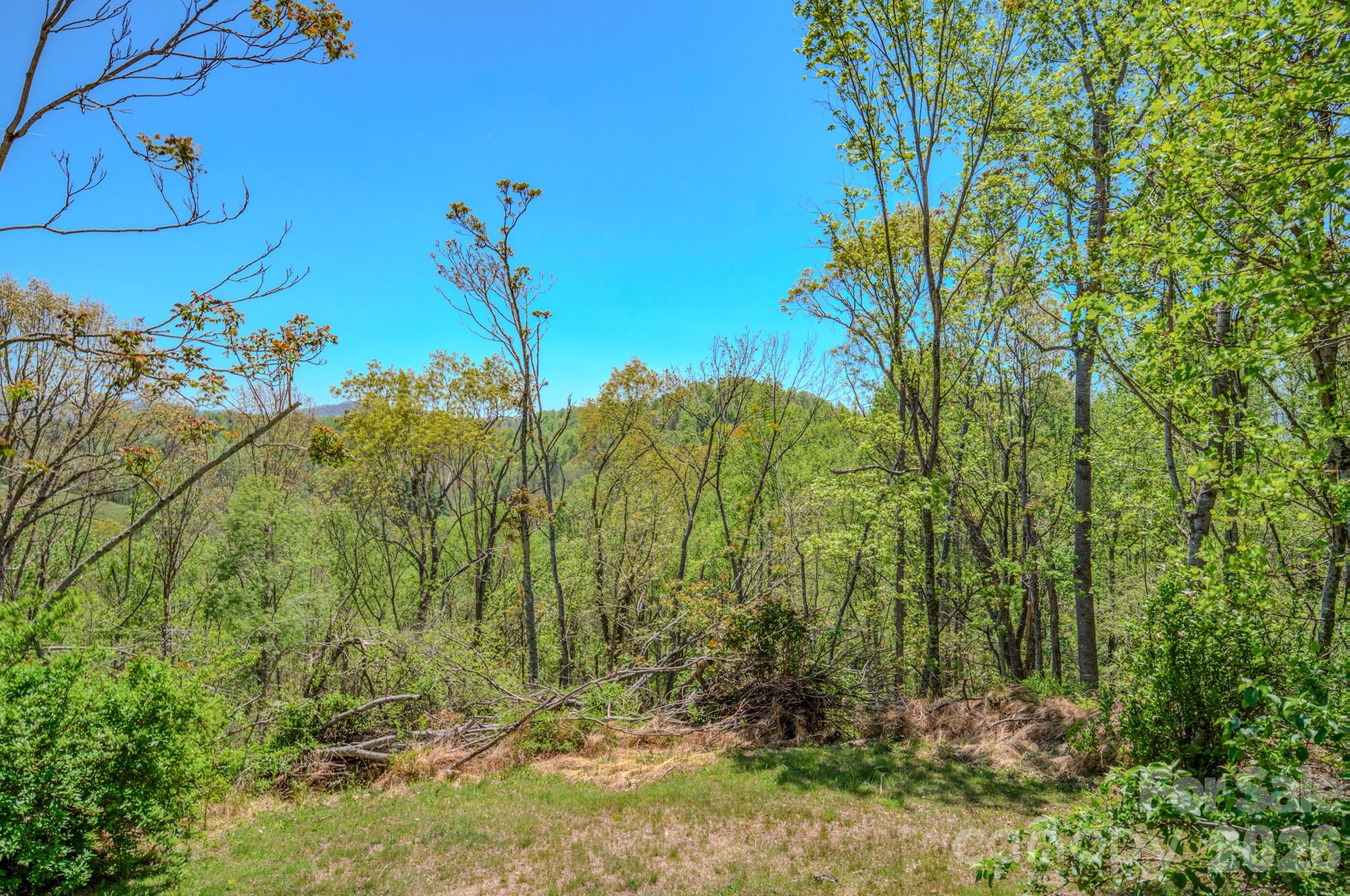 143 Gouge Cemetery Road Bakersville, NC 28705 - Photo 45 of 47 a view of a garden