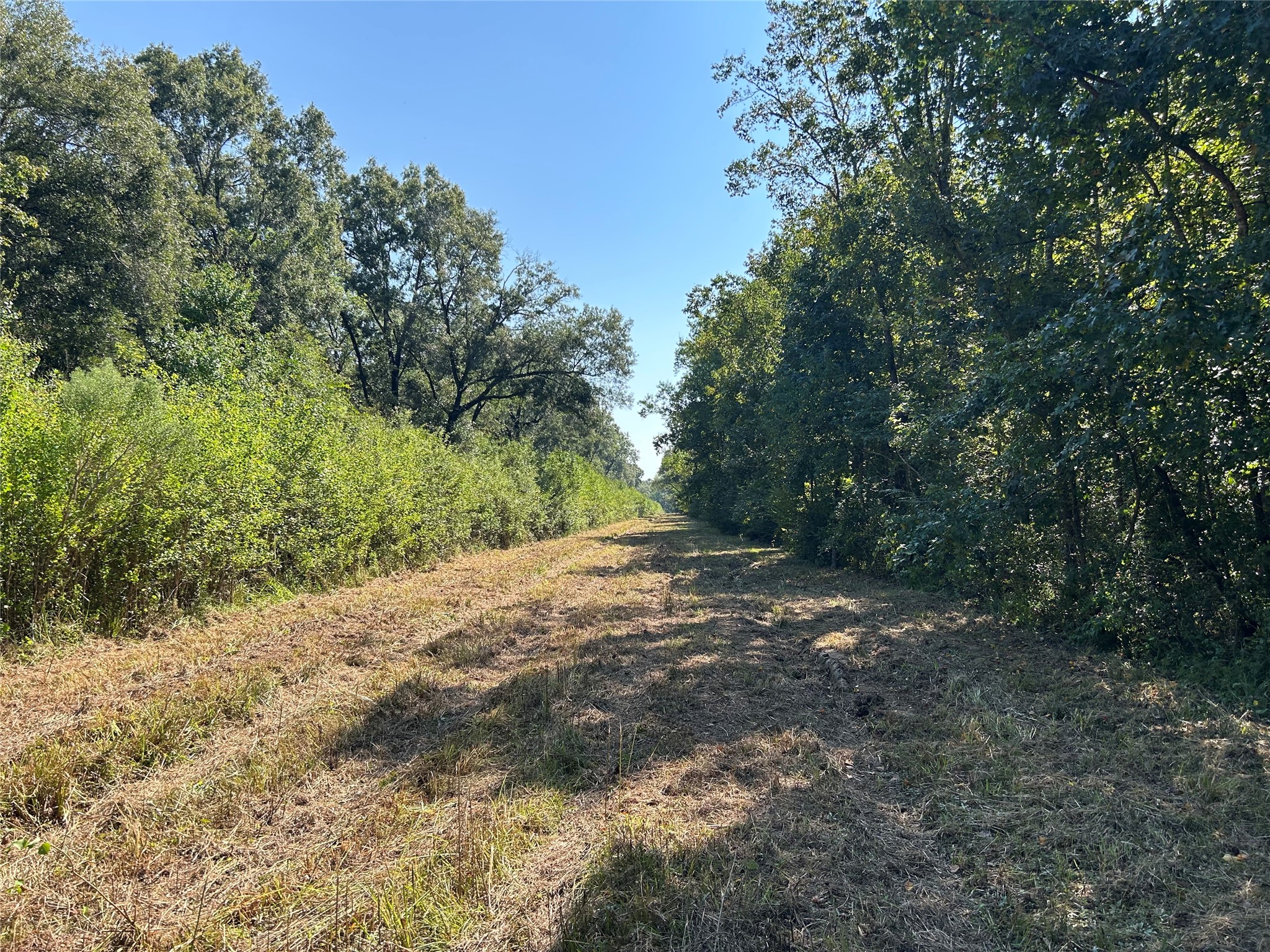 Na McGuire Road Liberty, TX 77575 - Photo 12 of 42