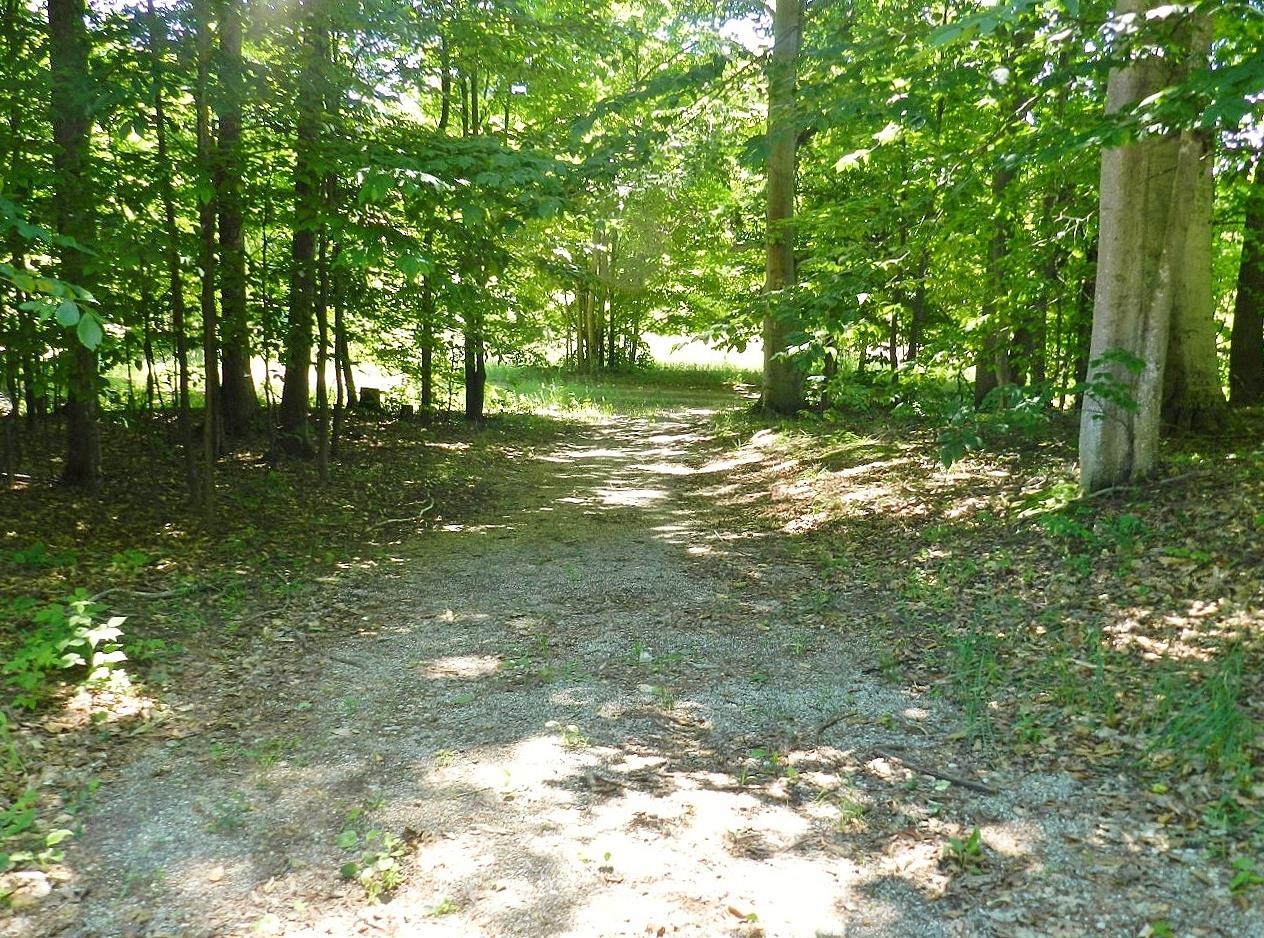 10303 Narrow Gauge Road Beulah, MI 49617 - Photo 89 of 99