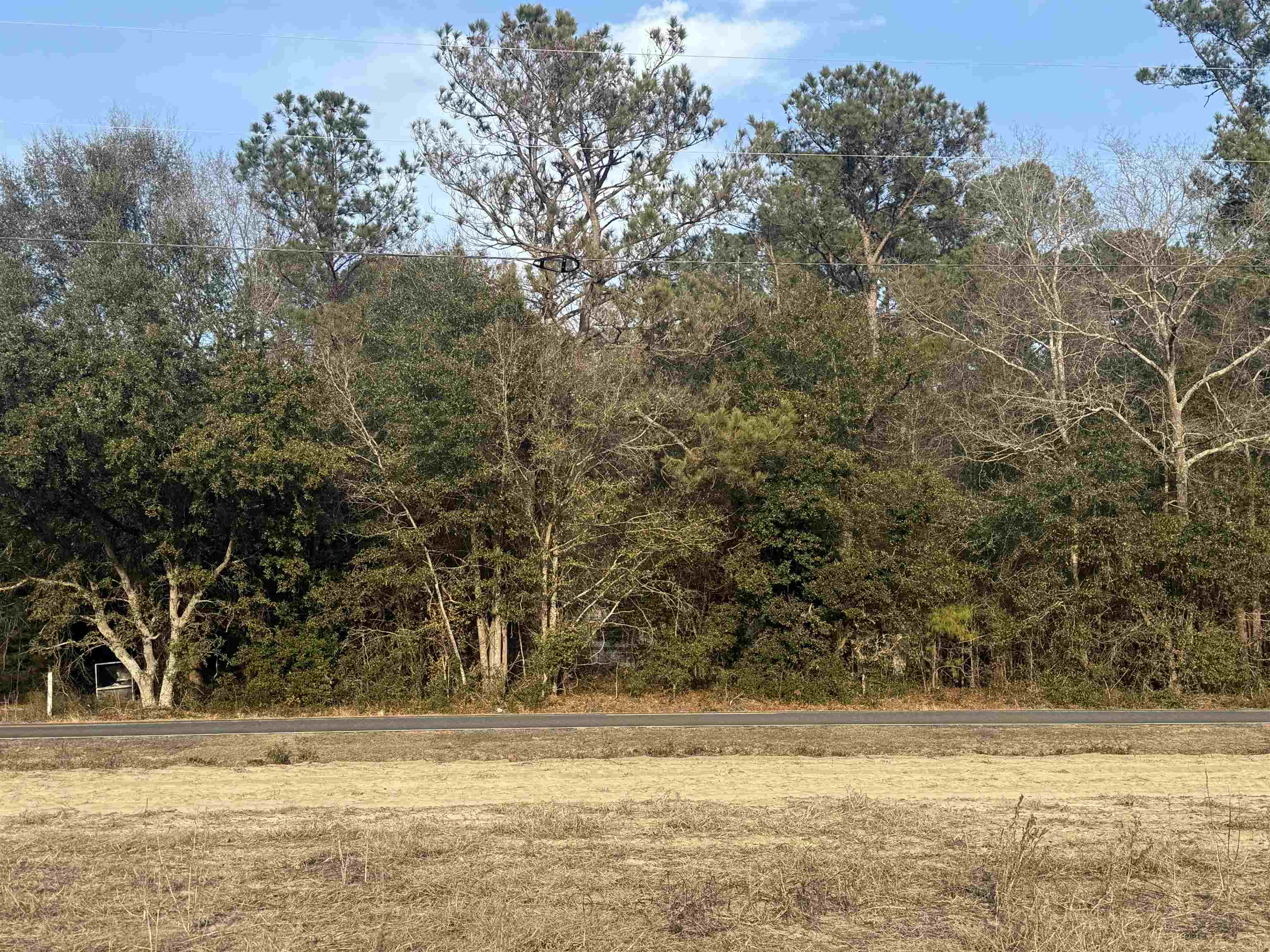 120 Rough Horn Road Evergreen, NC 28438 - Photo 1 of 3