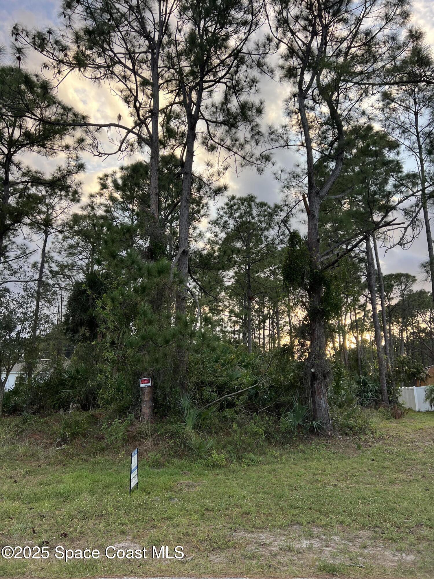 1292 Daton Road Southwest Palm Bay, FL 32908 - Photo 2 of 7 Daton 2 IMG_8146