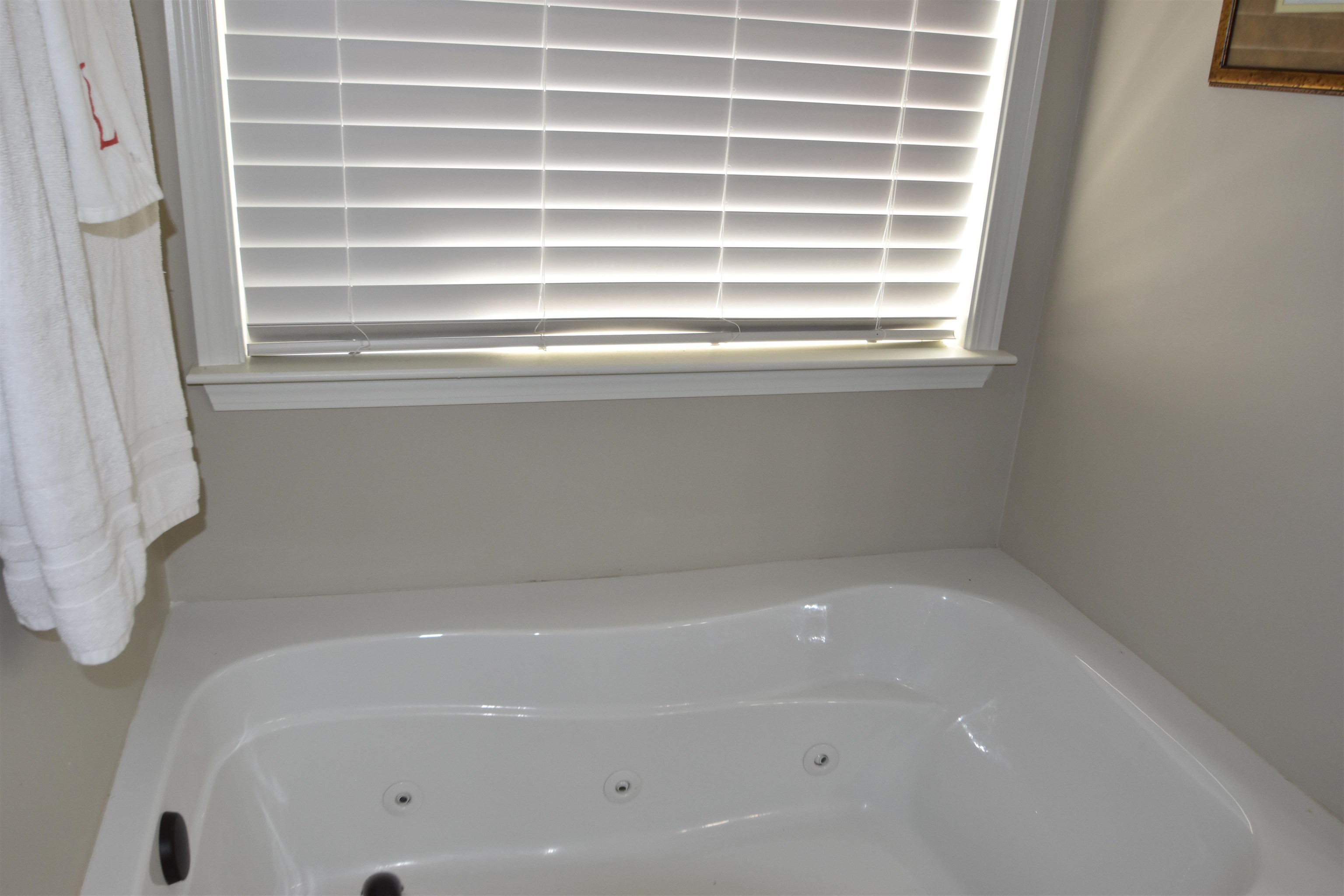 535 Ridgeville Crossing Drive Inman, SC 29349 - Photo 14 of 20