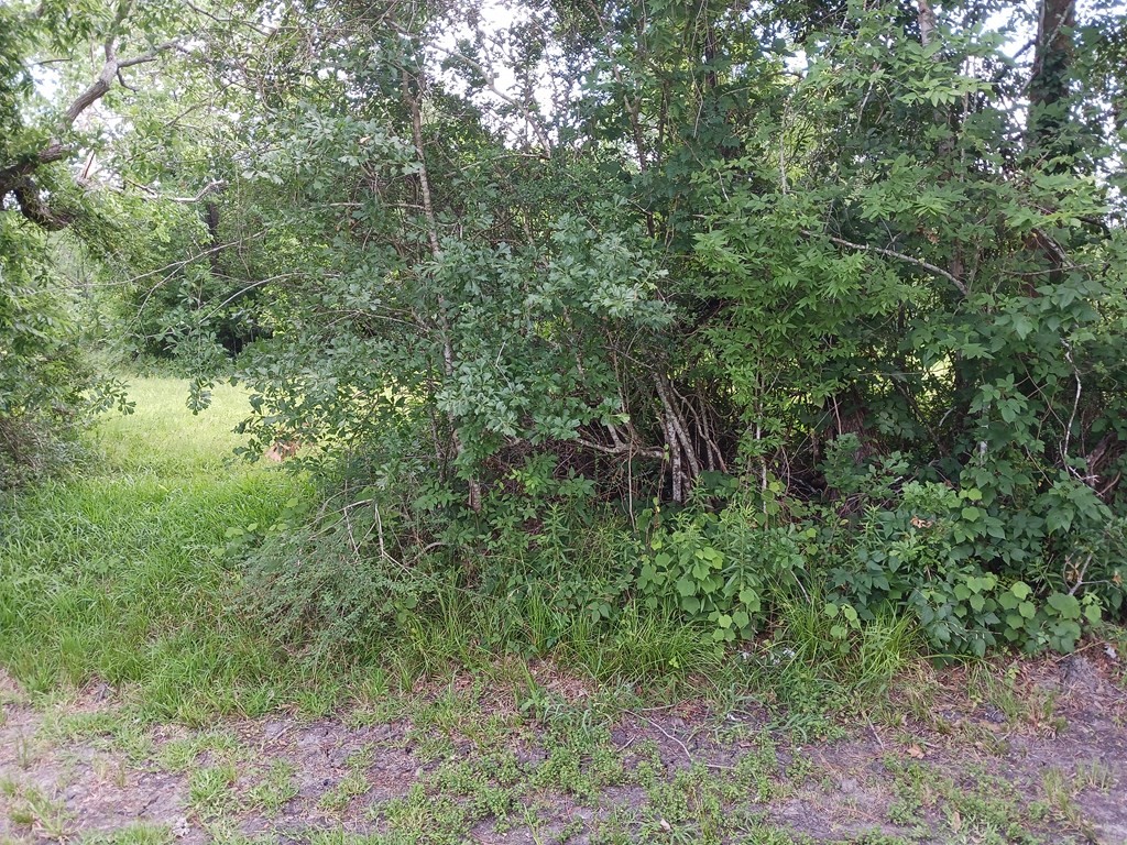 0 Cahill Road Angleton, TX 77515 - Photo 2 of 8