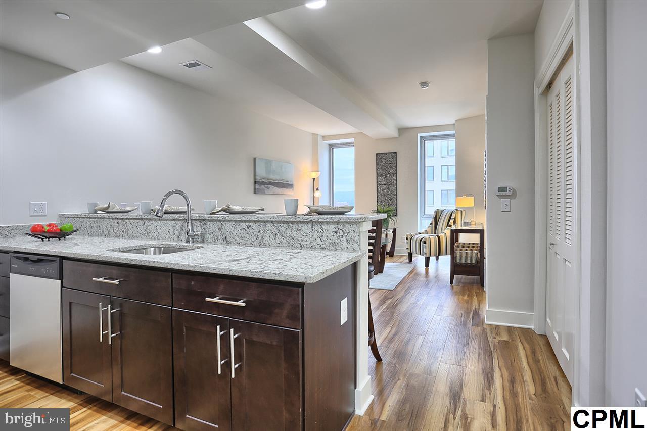231 State Street, Unit 802 Harrisburg, PA 17101 - Photo 3 of 24
