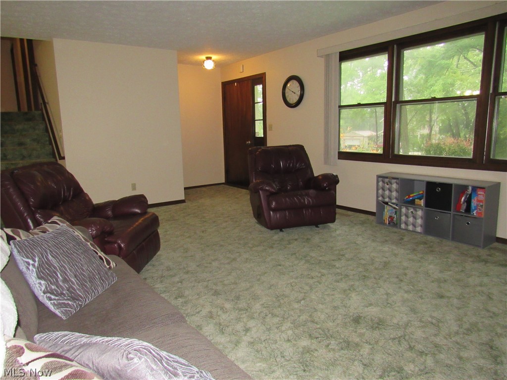 4414 South Ridge Road East Ashtabula, OH 44004 - Photo 12 of 26 View from the fireplace's perspective, also a shot of the front door