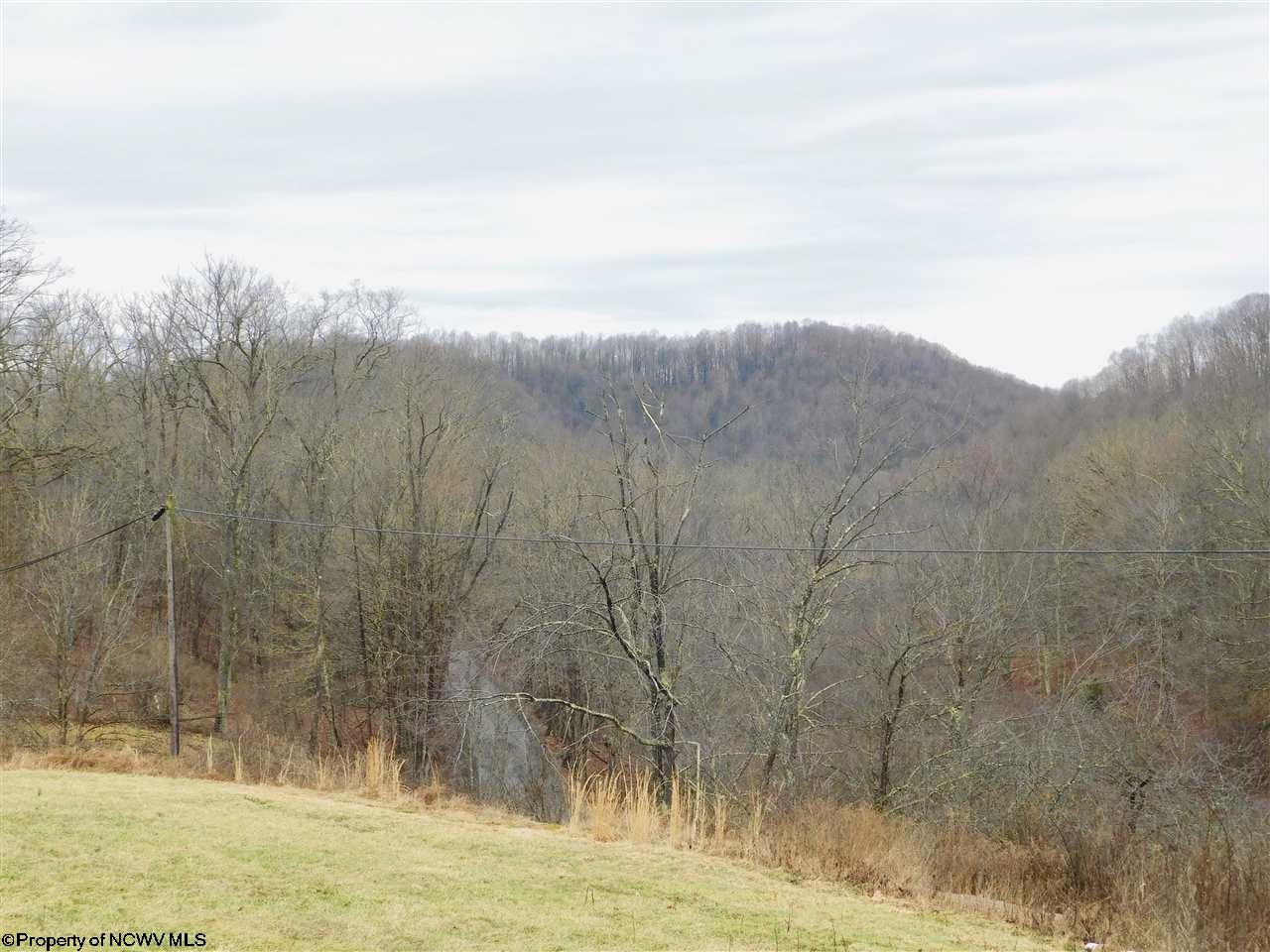 4598 Cherry Run Road Grafton, WV 26354 - Photo 19 of 20 Gallery Image 19