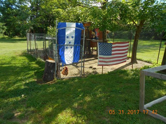 14067 Rummel Road Moores Hill, IN 47032 - Photo 10 of 24 Gallery Image 10