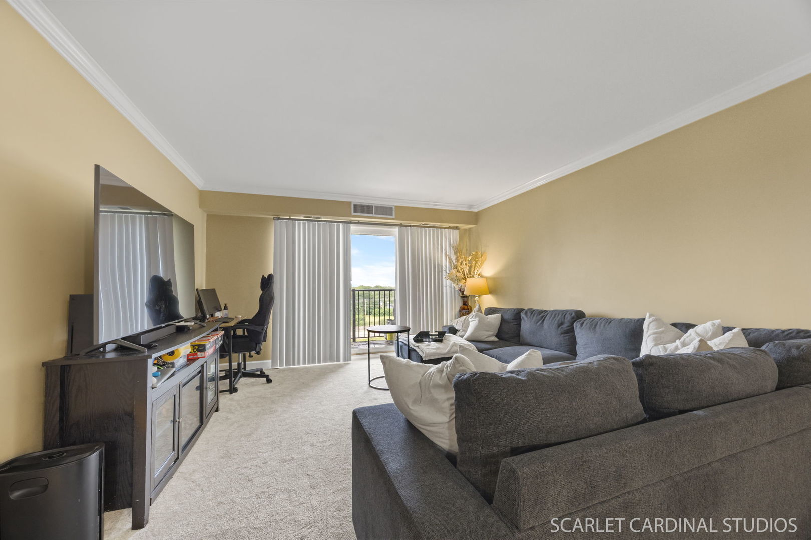 5400 Walnut Avenue, Unit 805 Downers Grove, IL 60515 - Photo 9 of 10 a living room with furniture and a flat screen tv