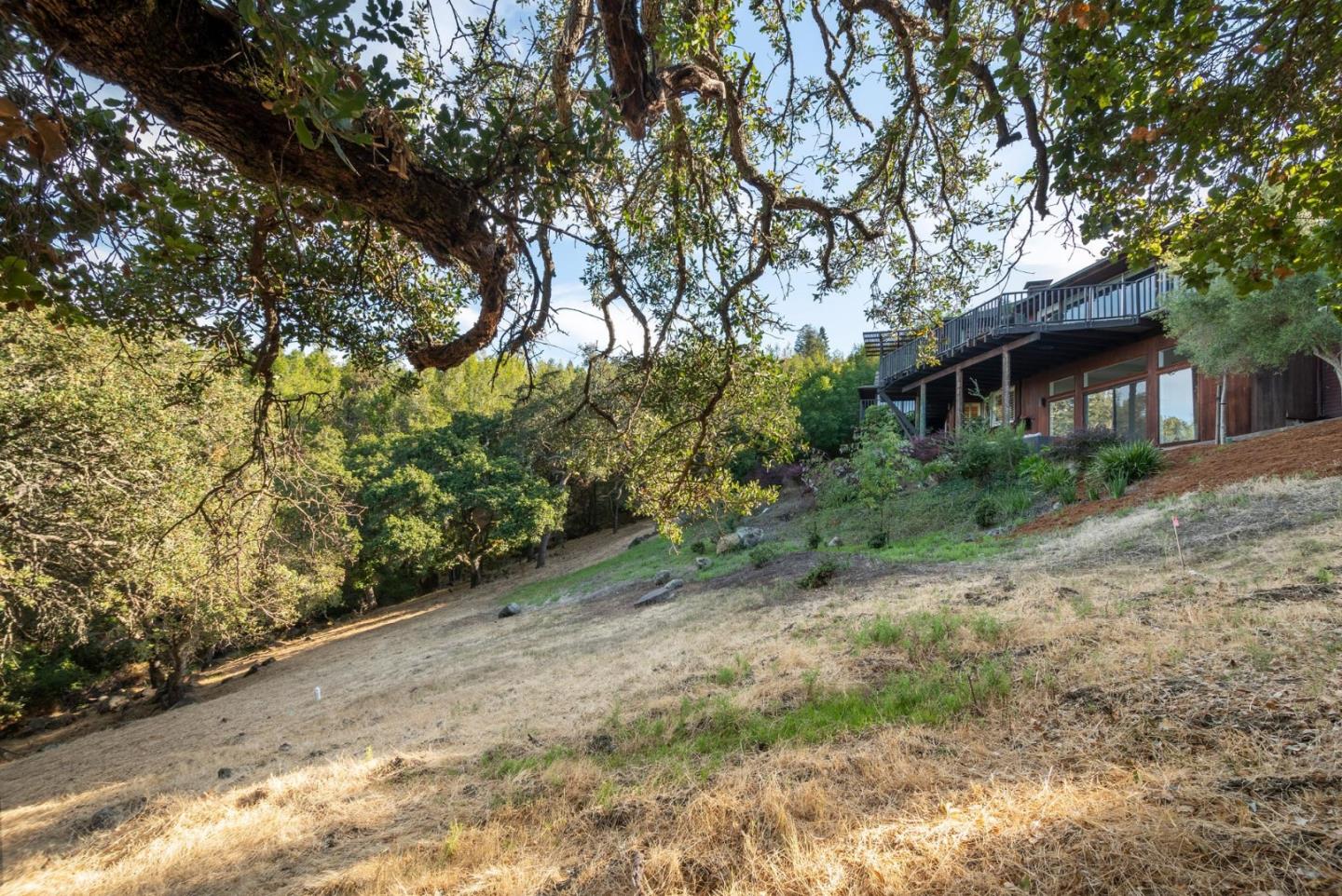 210 Hardwick Road Woodside, CA 94062 - Photo 27 of 29 a view of a yard with plants and trees