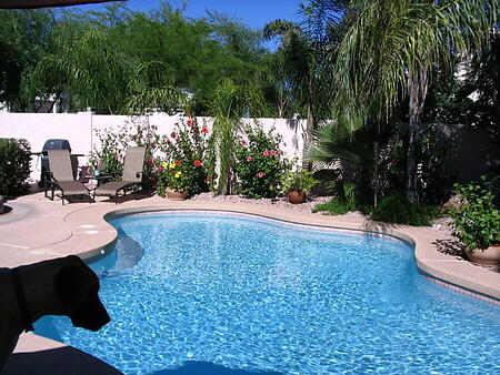 1241 East Redfield Road, Unit 79 Phoenix, AZ 85022 - Photo 5 of 5 Additional Photo