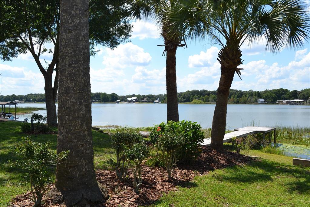 26 Southeast Ocale Way Summerfield, FL 34491 - Photo 12 of 46