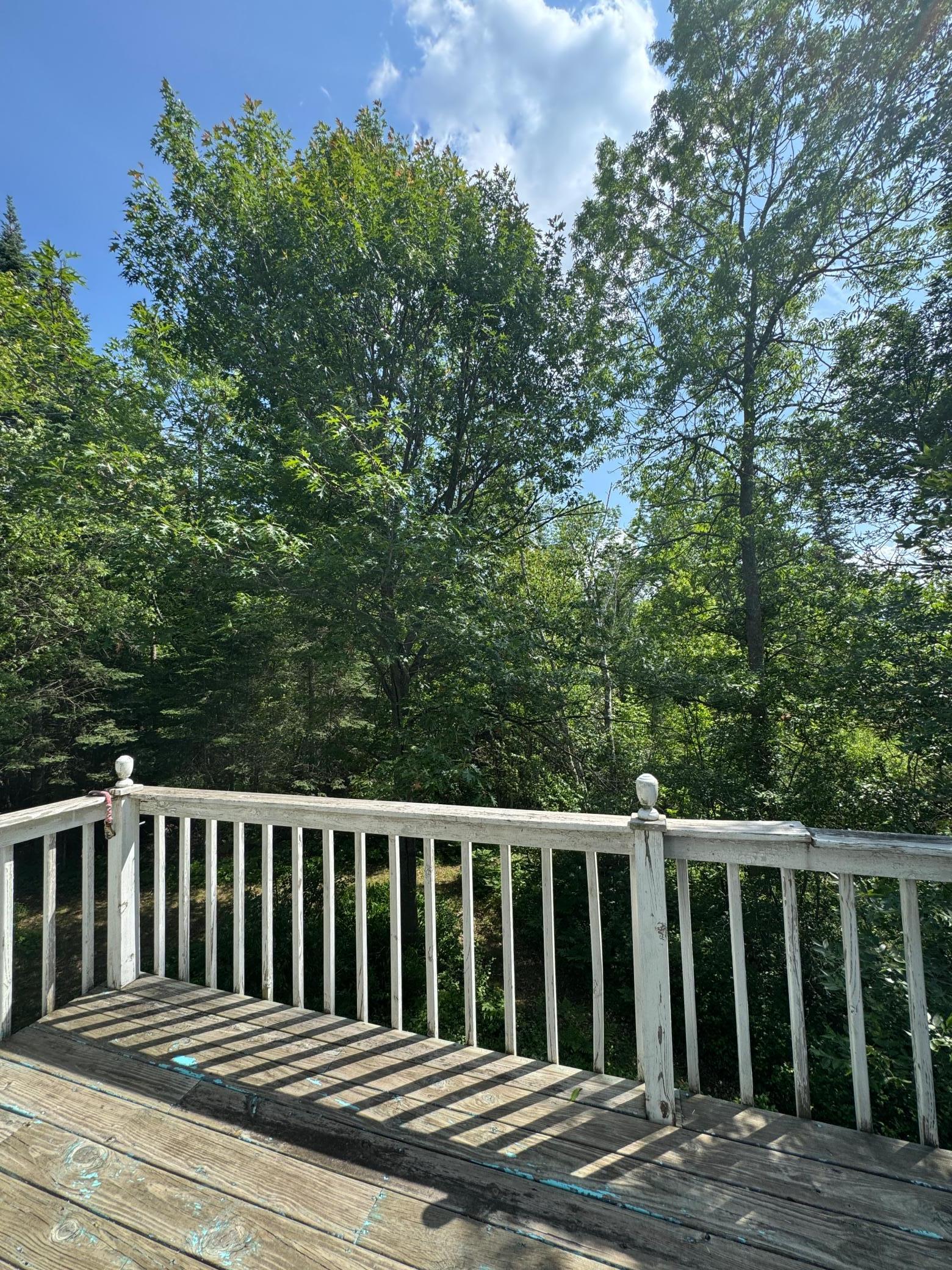 39130 Notebloom Lane Waubun, MN 56589 - Photo 21 of 49