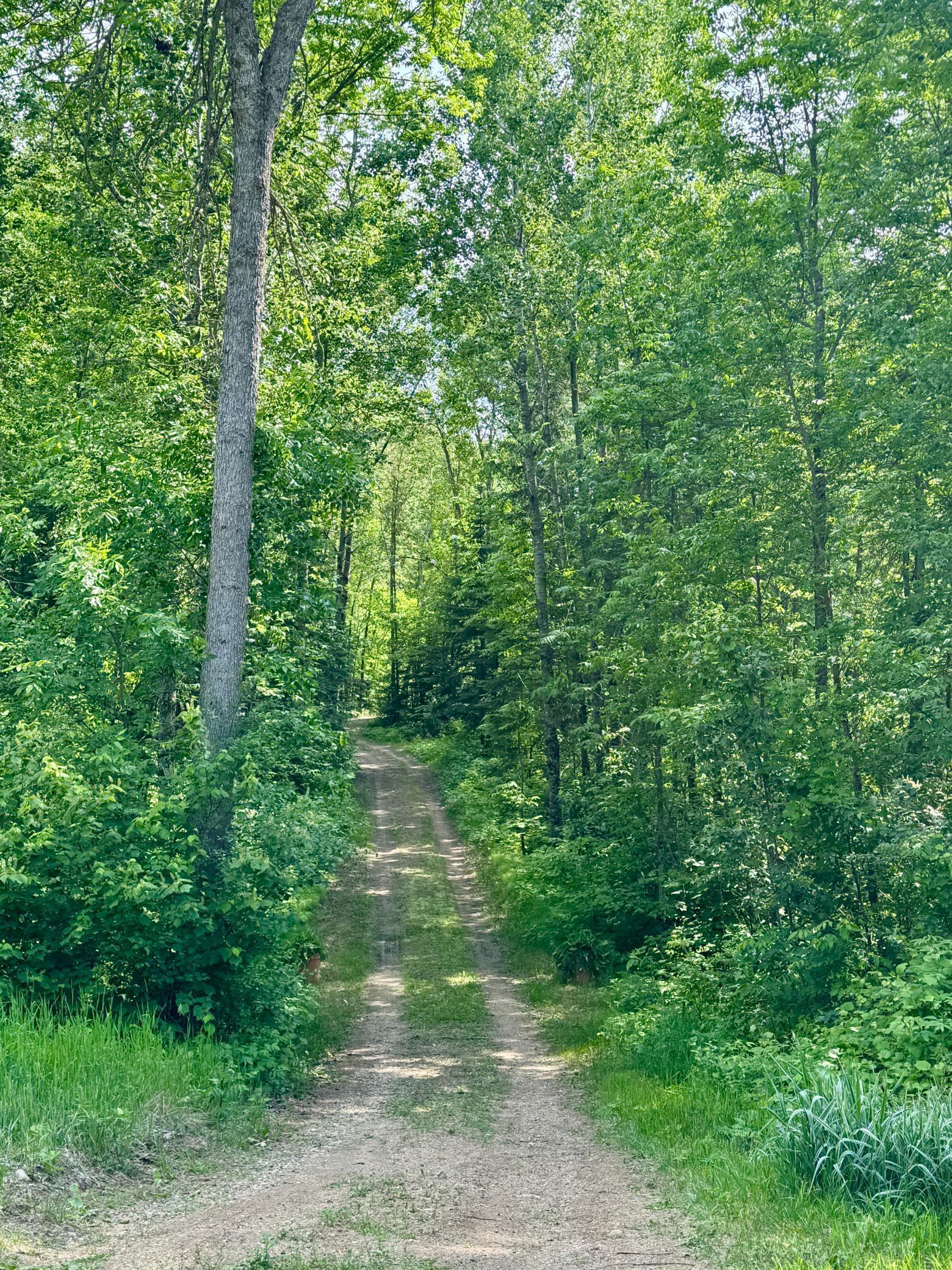 39130 Notebloom Lane Waubun, MN 56589 - Photo 32 of 49