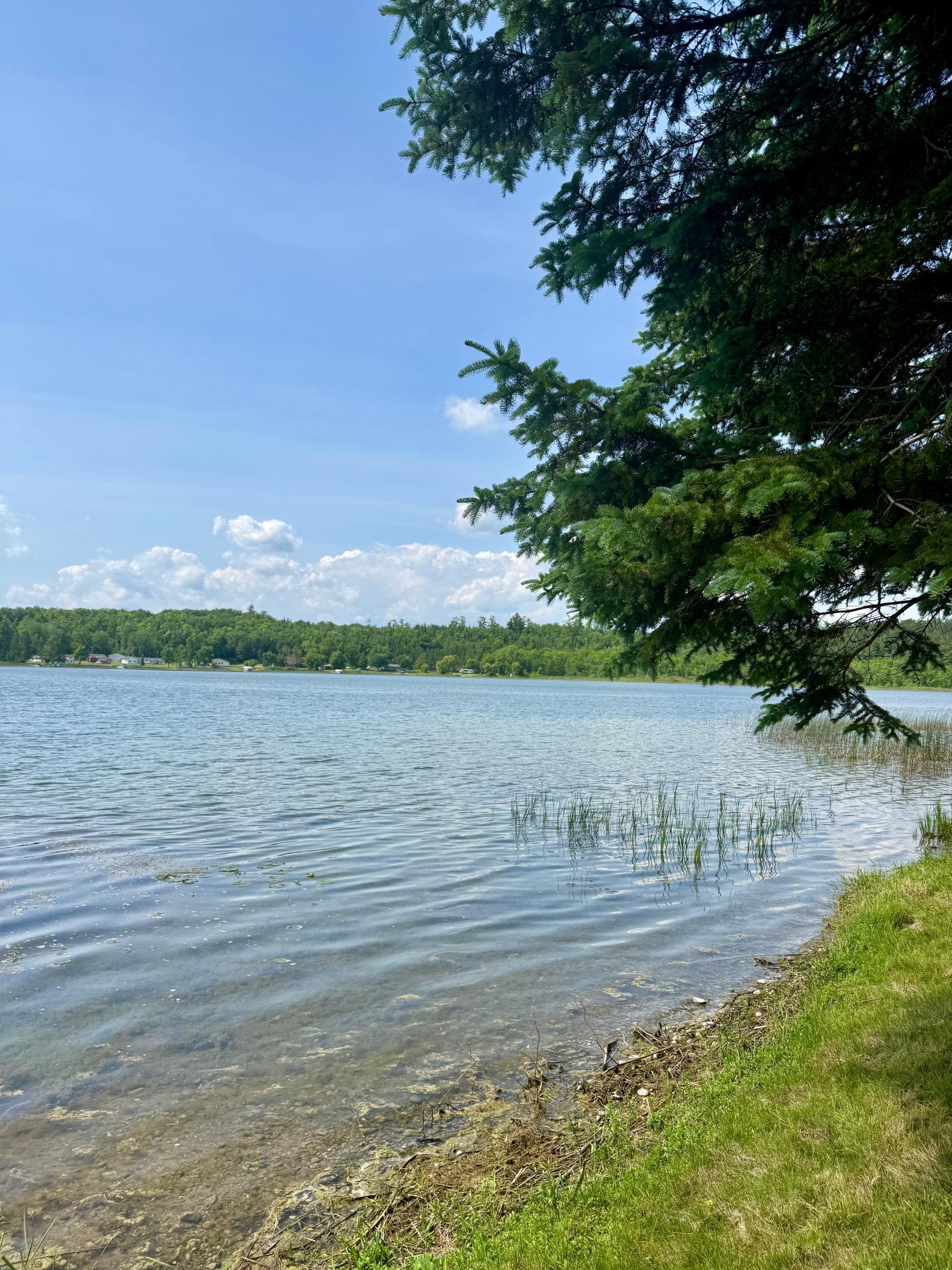 39130 Notebloom Lane Waubun, MN 56589 - Photo 4 of 49