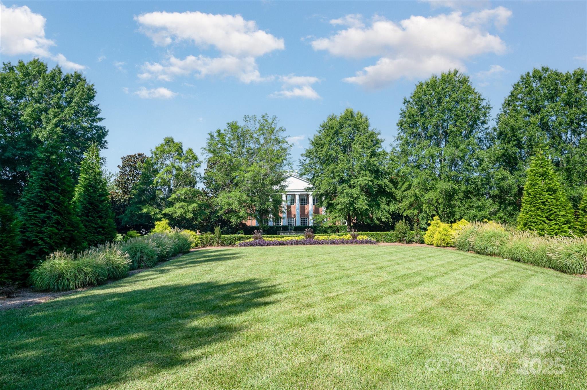 1135 Market Street Fort Mill, SC 29708 - Photo 35 of 36 a view of a big yard with plants and large trees