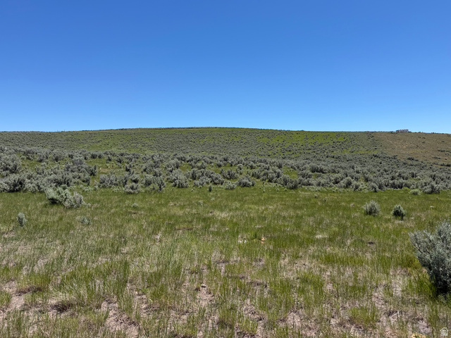 Mud Springs St. Charles, ID 83272 - Photo 23 of 29