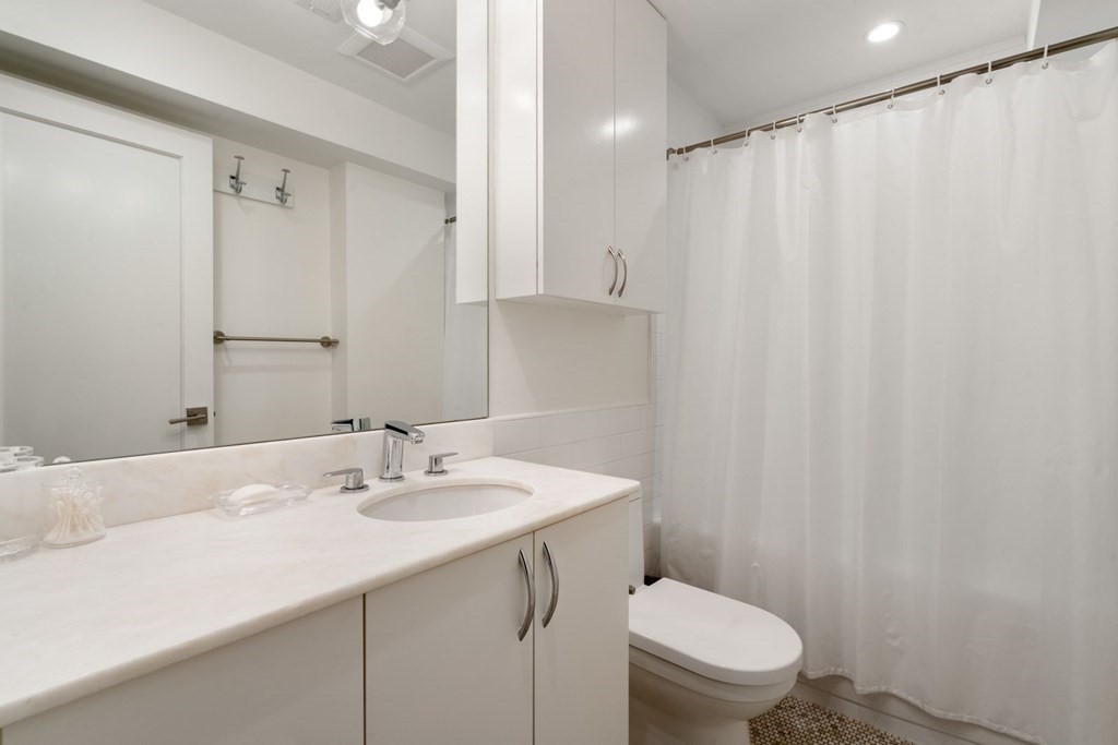 34 Dwight Street, Unit 1 Boston, MA 02118 - Photo 28 of 40 a bathroom with a sink a toilet and shower curtain