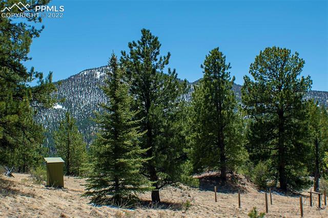 441 Wagonwheel Road Guffey, CO 80820 - Photo 18 of 36 Gallery Image 18