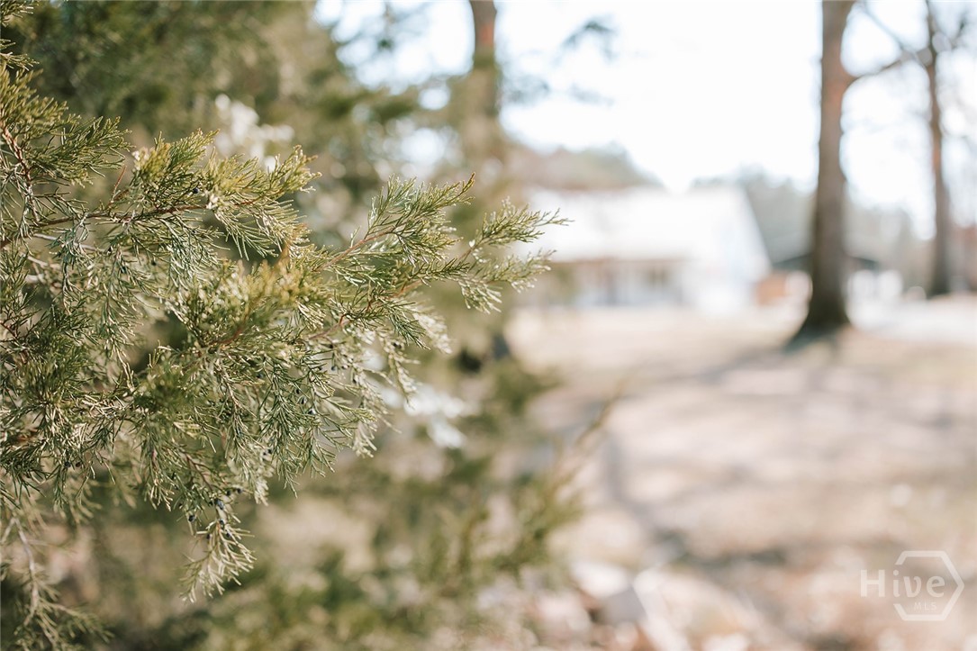 716 Steven's Grove Church Road Lexington, GA 30648 - Photo 39 of 47