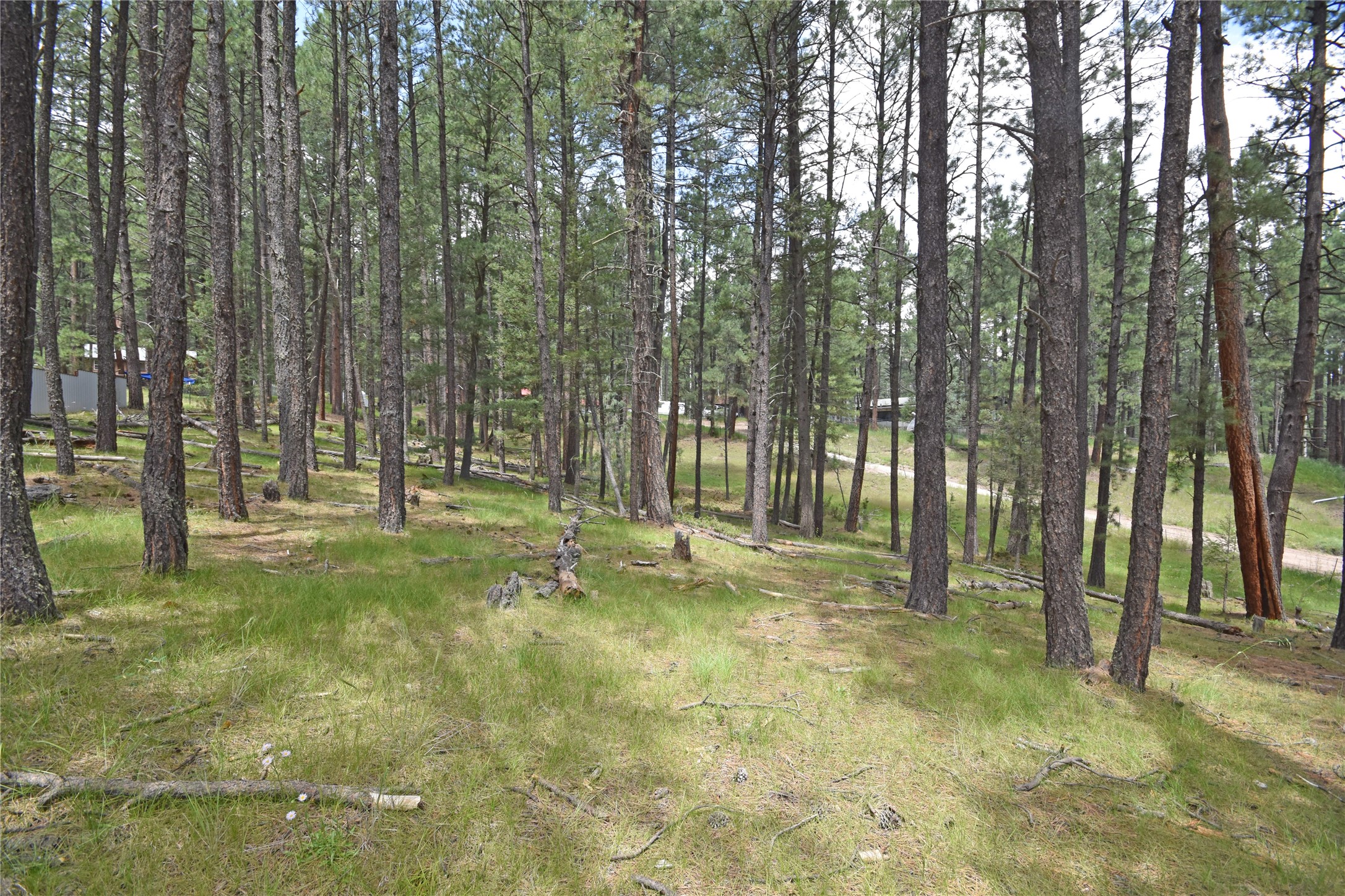3 Hidden Valley Road Jemez Springs, NM 87025 - Photo 1 of 1 Gallery Image 1
