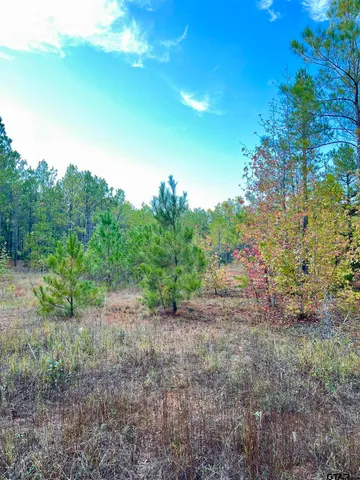 $920,000 | 161 South Hughes Springs, Hughes Springs, TX 75656