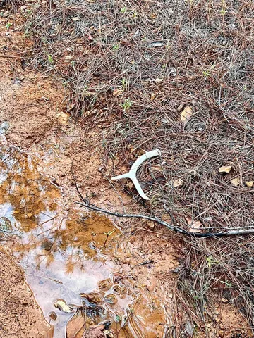 $920,000 | 161 South Hughes Springs, Hughes Springs, TX 75656