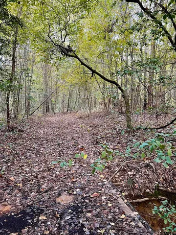 $920,000 | 161 South Hughes Springs, Hughes Springs, TX 75656