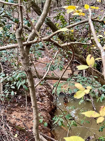 $920,000 | 161 South Hughes Springs, Hughes Springs, TX 75656