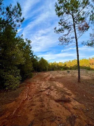 $920,000 | 161 South Hughes Springs, Hughes Springs, TX 75656