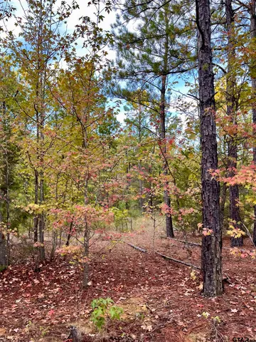 $920,000 | 161 South Hughes Springs, Hughes Springs, TX 75656