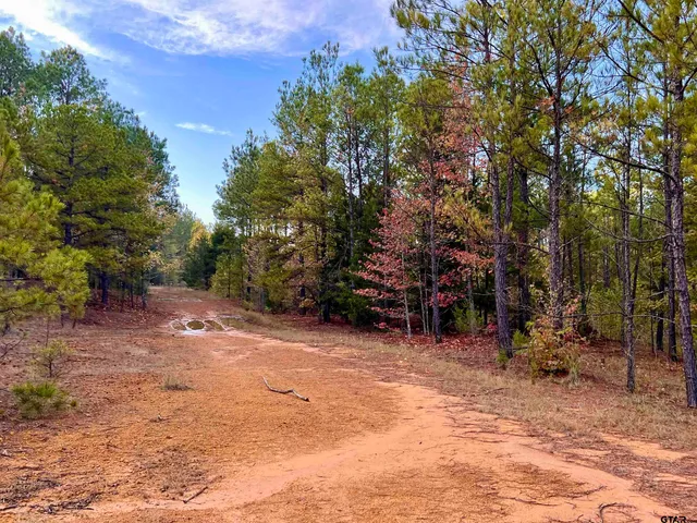 $920,000 | 161 South Hughes Springs, Hughes Springs, TX 75656