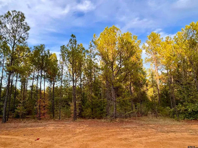 $920,000 | 161 South Hughes Springs, Hughes Springs, TX 75656