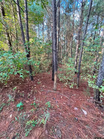 $920,000 | 161 South Hughes Springs, Hughes Springs, TX 75656