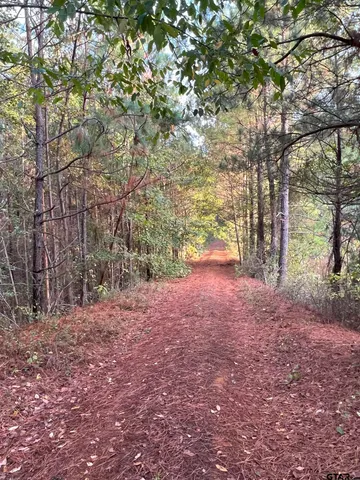 $920,000 | 161 South Hughes Springs, Hughes Springs, TX 75656