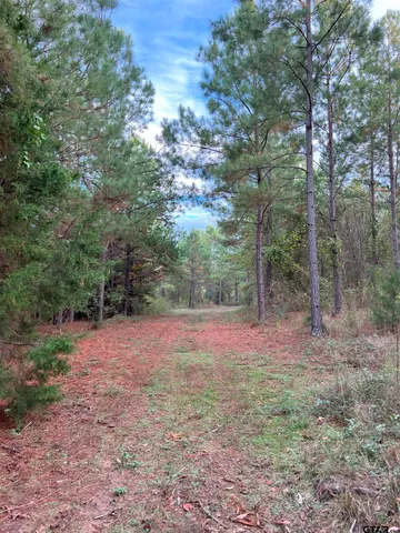 $920,000 | 161 South Hughes Springs, Hughes Springs, TX 75656