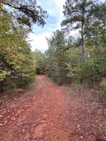 $920,000 | 161 South Hughes Springs, Hughes Springs, TX 75656